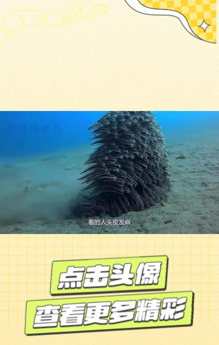 海底的神秘的“鱼人”,身形巨大行动自如,看得人头皮发麻