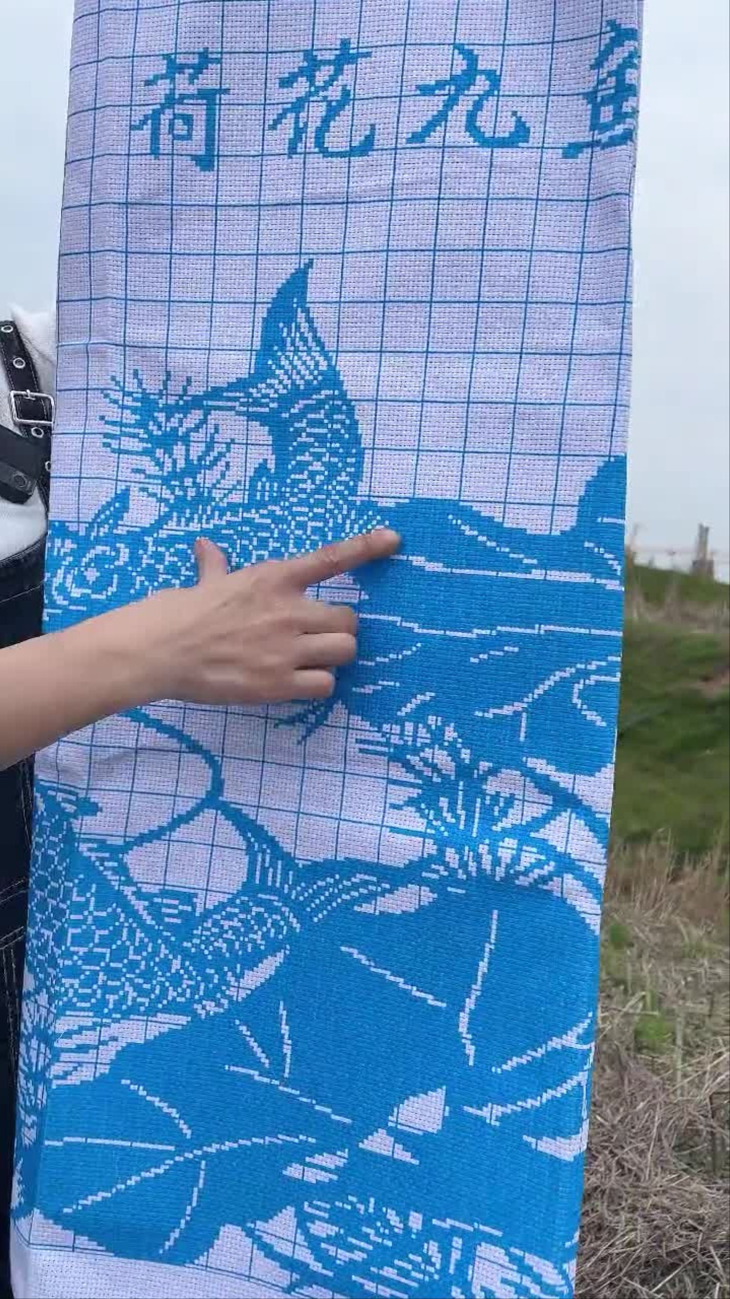 荷花九鱼图十字绣,这说的是哪里话啊