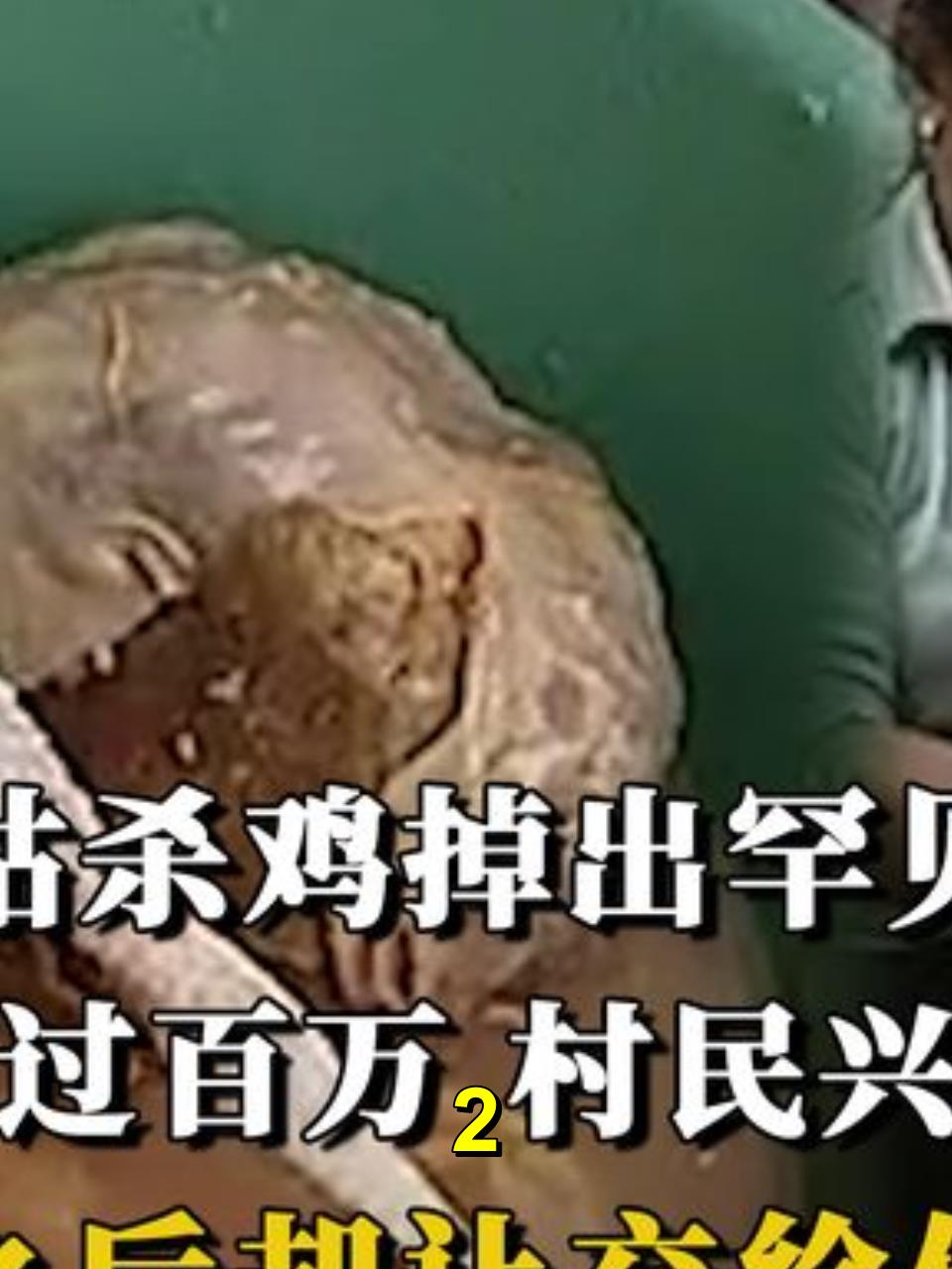 云南村姑杀鸡掉出天价鸡宝,价格超过百万,专家却让丢掉,纪录片2