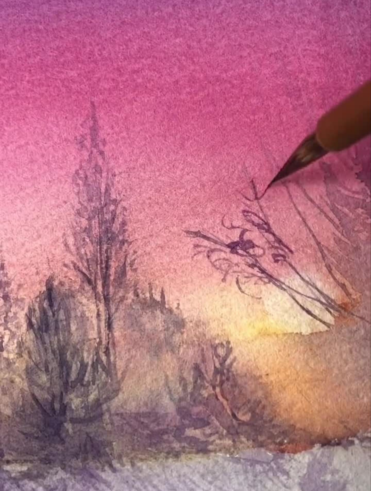 今天的温柔是莫奈的粉～水彩画画绘画风景画星探家