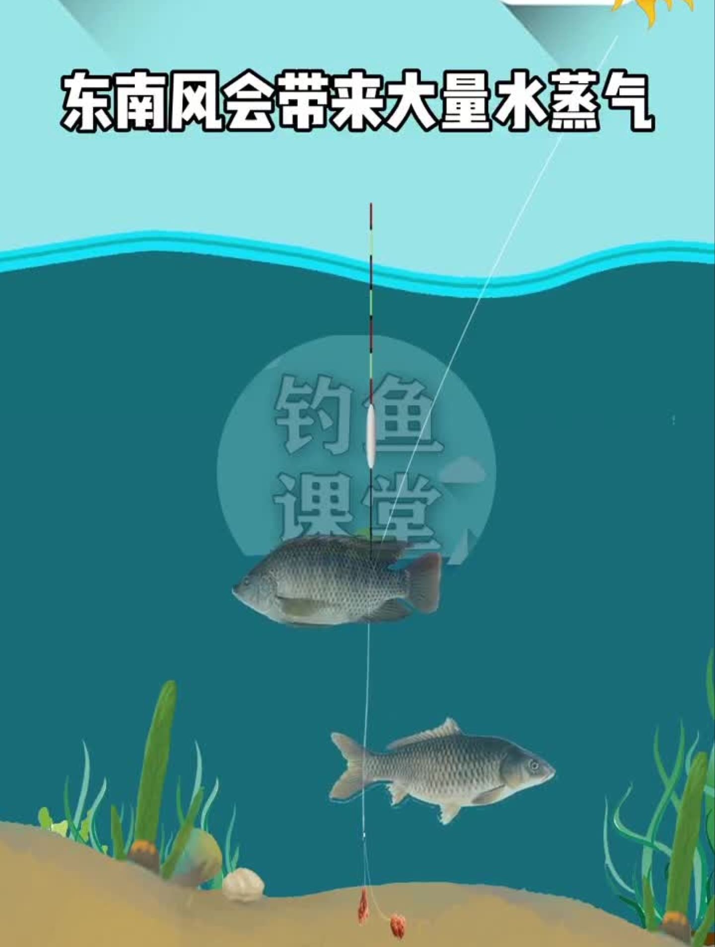 夏季为什么不钓东南风钓钓鱼技巧野钓