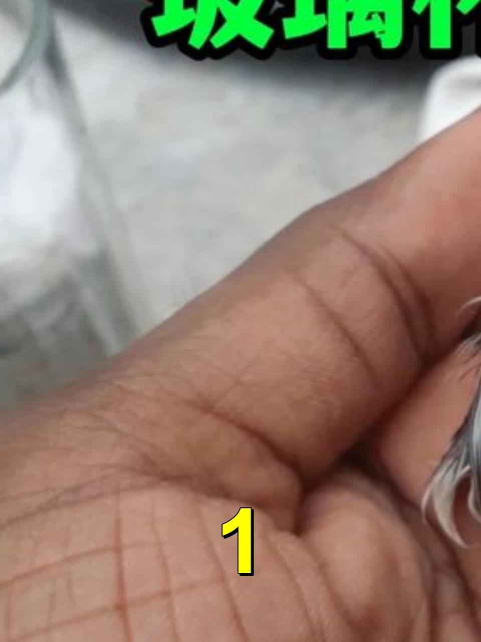用玻璃杯孵小鸡,真的很简单,家里孵蛋的老母鸡直接退休了1