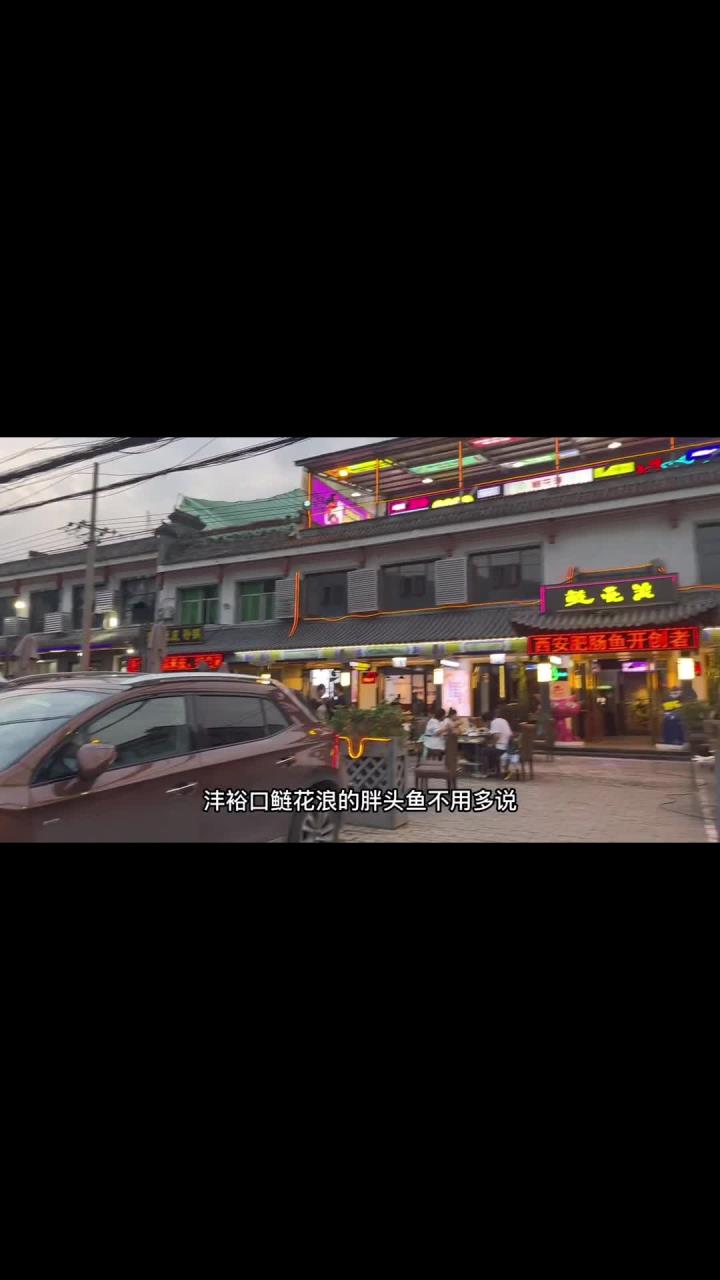 周末来沣裕口散心必吃鲢花浪胖头鱼