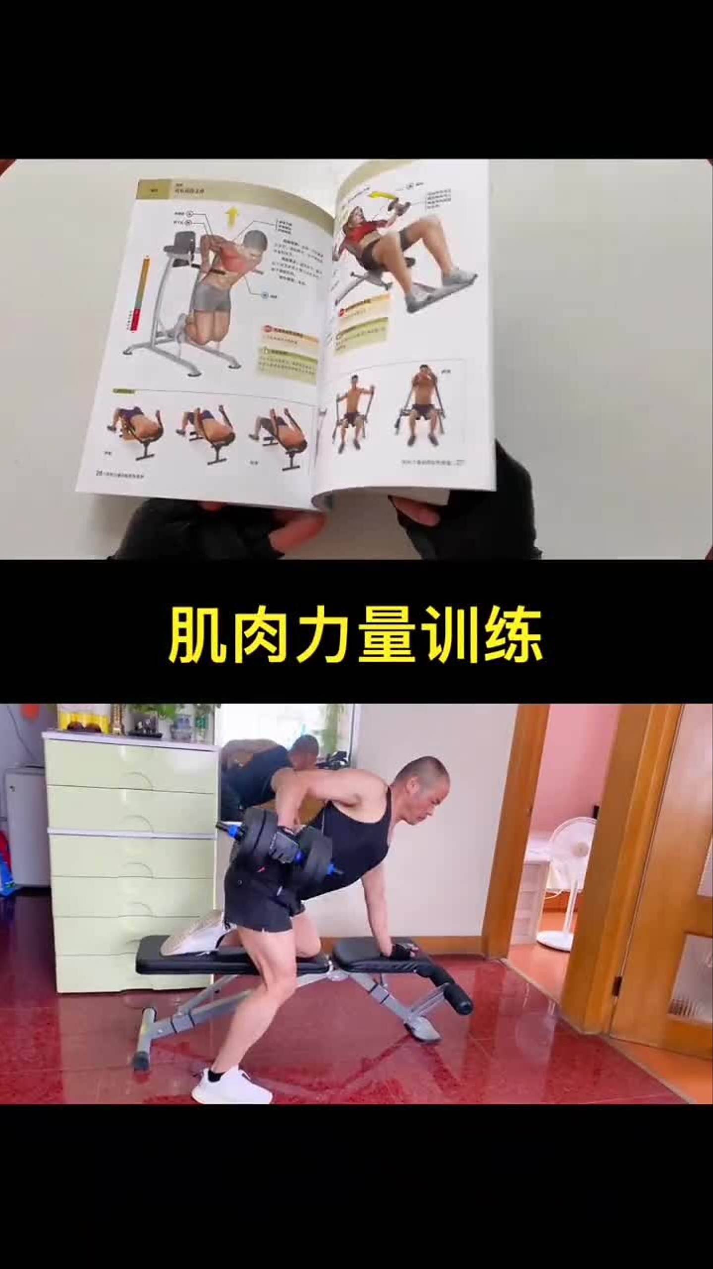 《肌肉力量训练》色彩图谱详细解析了肌肉训练的方式方法