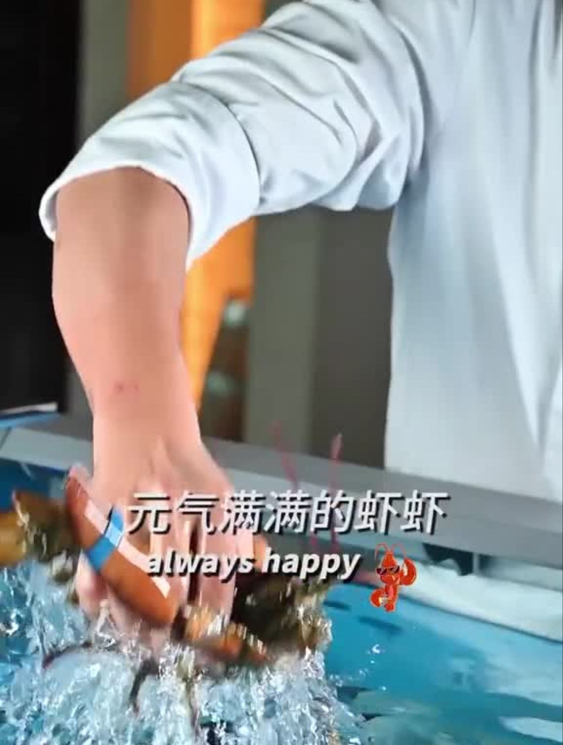 龙虾炒饭,是波士顿毕业的阿虾