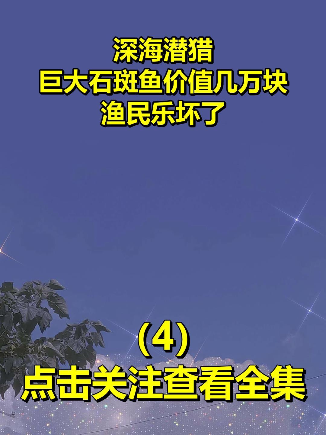 深海潜猎,巨大石斑鱼价值几万块,渔民乐坏了4