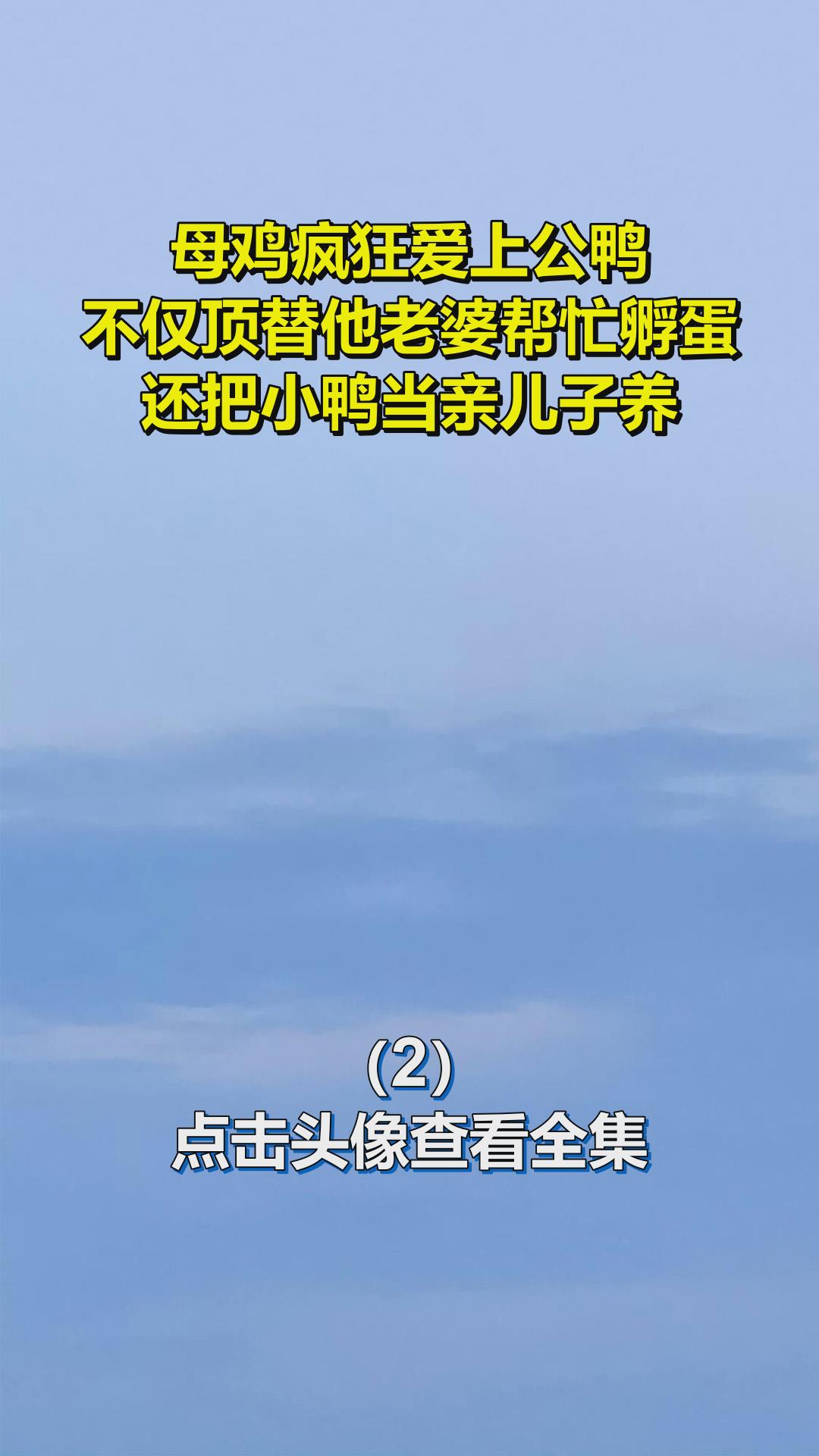 母鸡疯狂爱上公鸭,不仅顶替他老婆帮忙孵蛋,还把小鸭当亲儿子养2