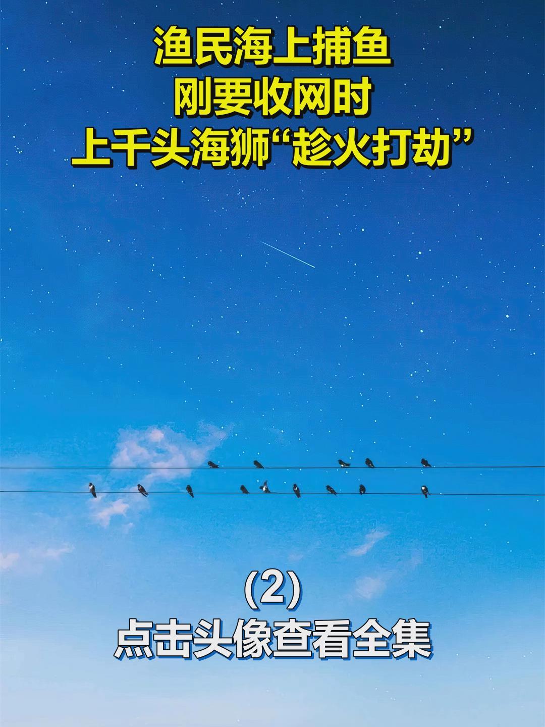 渔民海上捕鱼,刚要收网时,上千头海狮“趁火打劫”!2