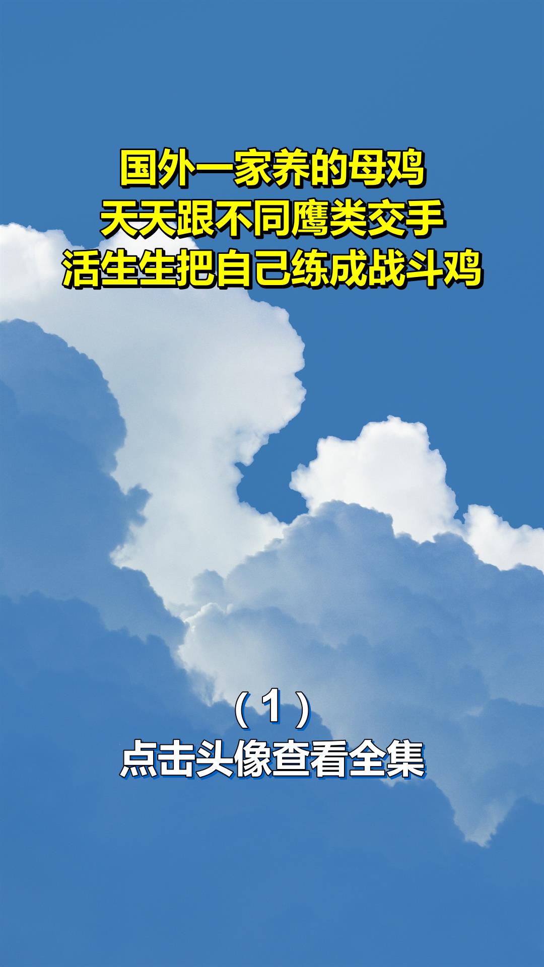 国外一家养的母鸡,天天跟不同鹰类交手,活生生把自己练成战斗鸡1