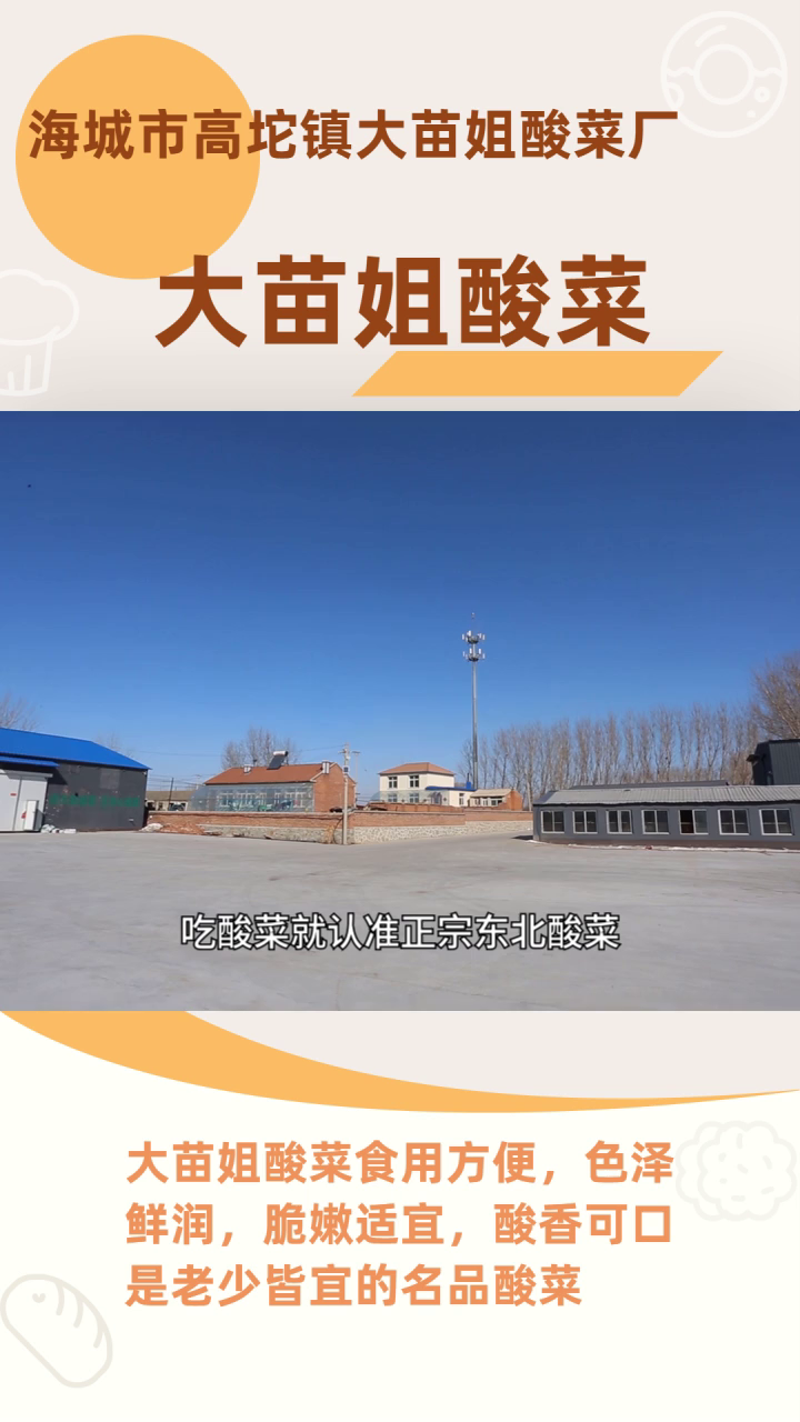 辽宁酸菜哪里买 大连市袋装东北白酸菜 吉林东北白酸菜袋装