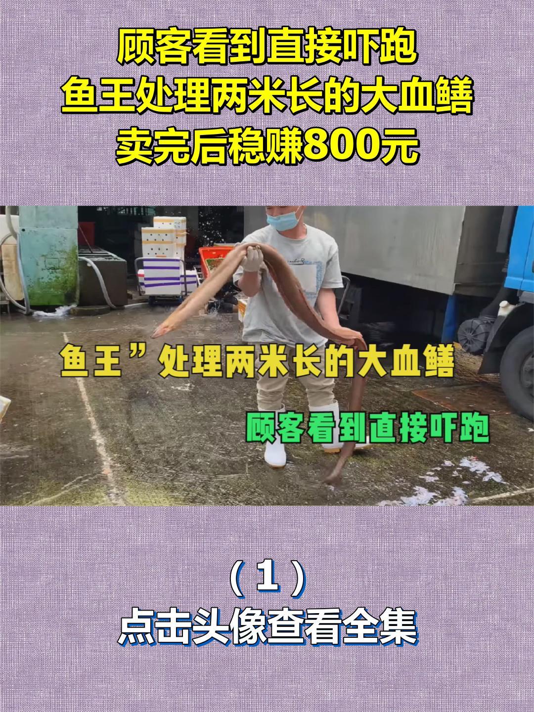顾客看到直接吓跑,鱼王处理两米长的大血鳝,卖完后稳赚800元1