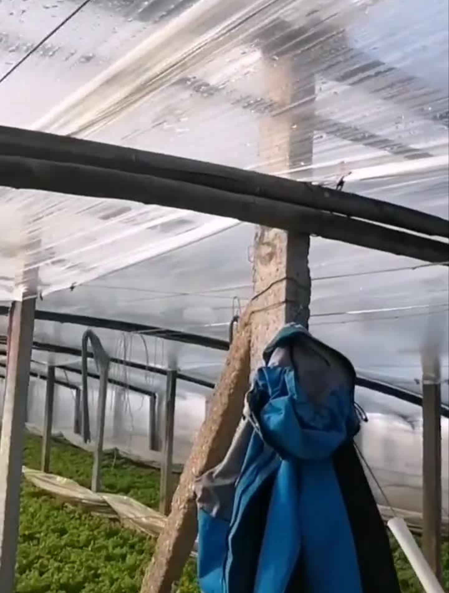 文案你们写!素描手绘随手画 (15)