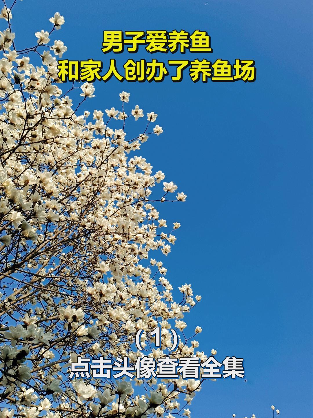 男子爱养鱼,和家人创办了养鱼场1