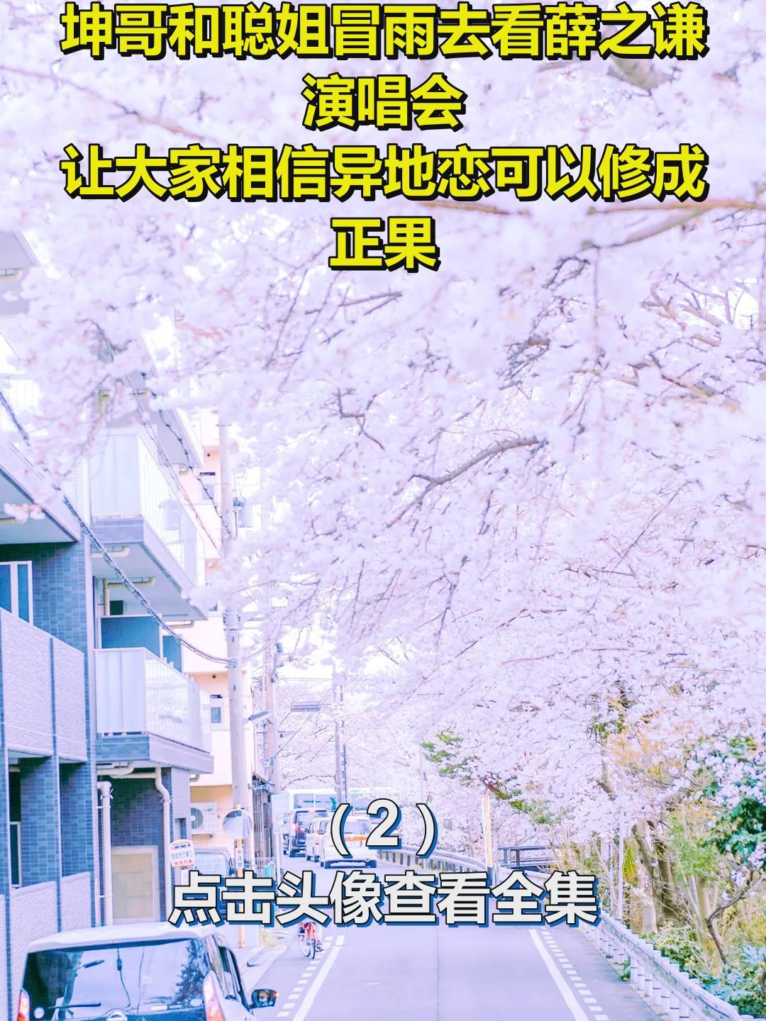 坤哥和聪姐冒雨去看薛之谦演唱会