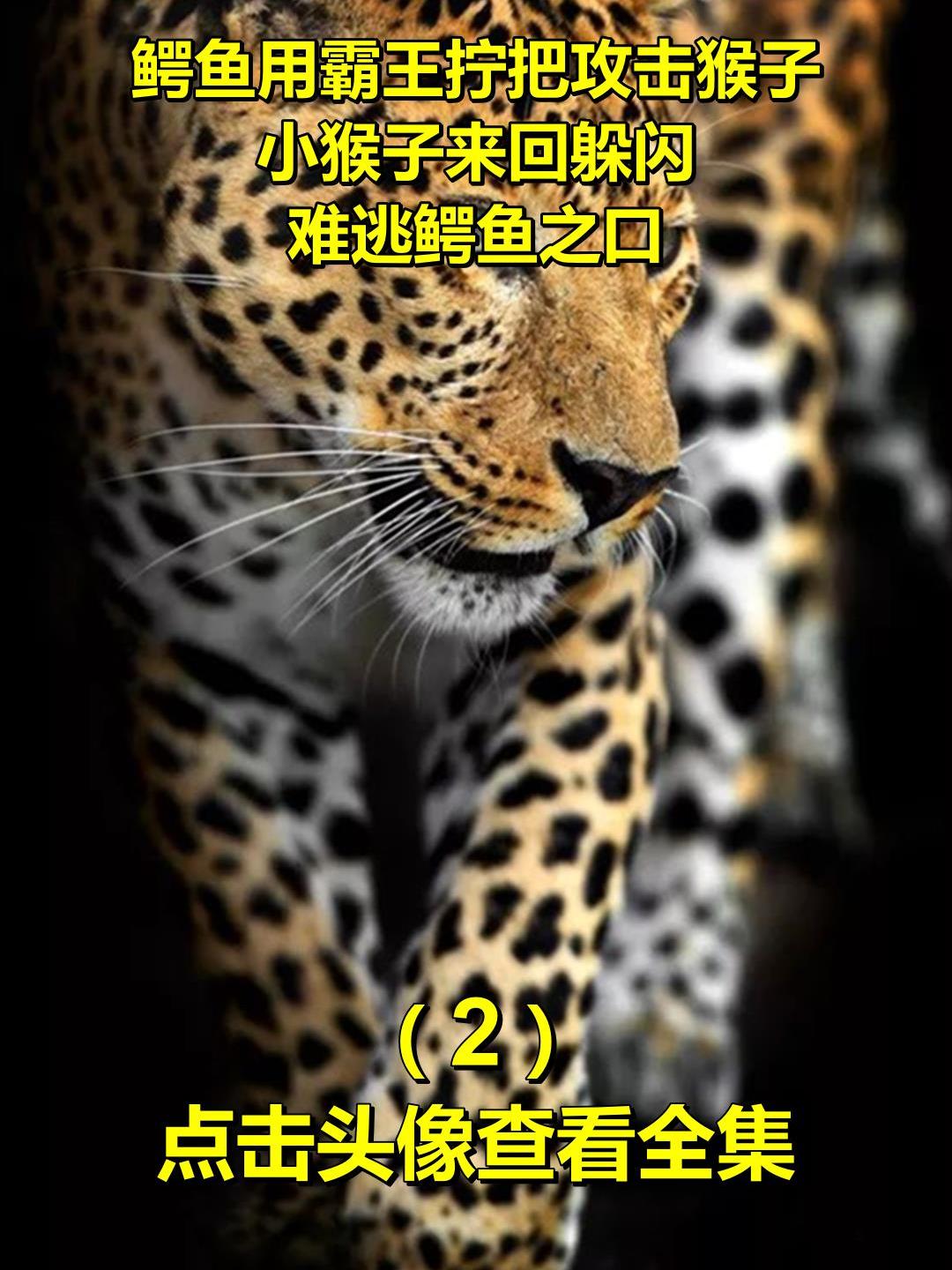 鳄鱼用霸王拧把攻击猴子,小猴子来回躲闪,难逃鳄鱼之口2