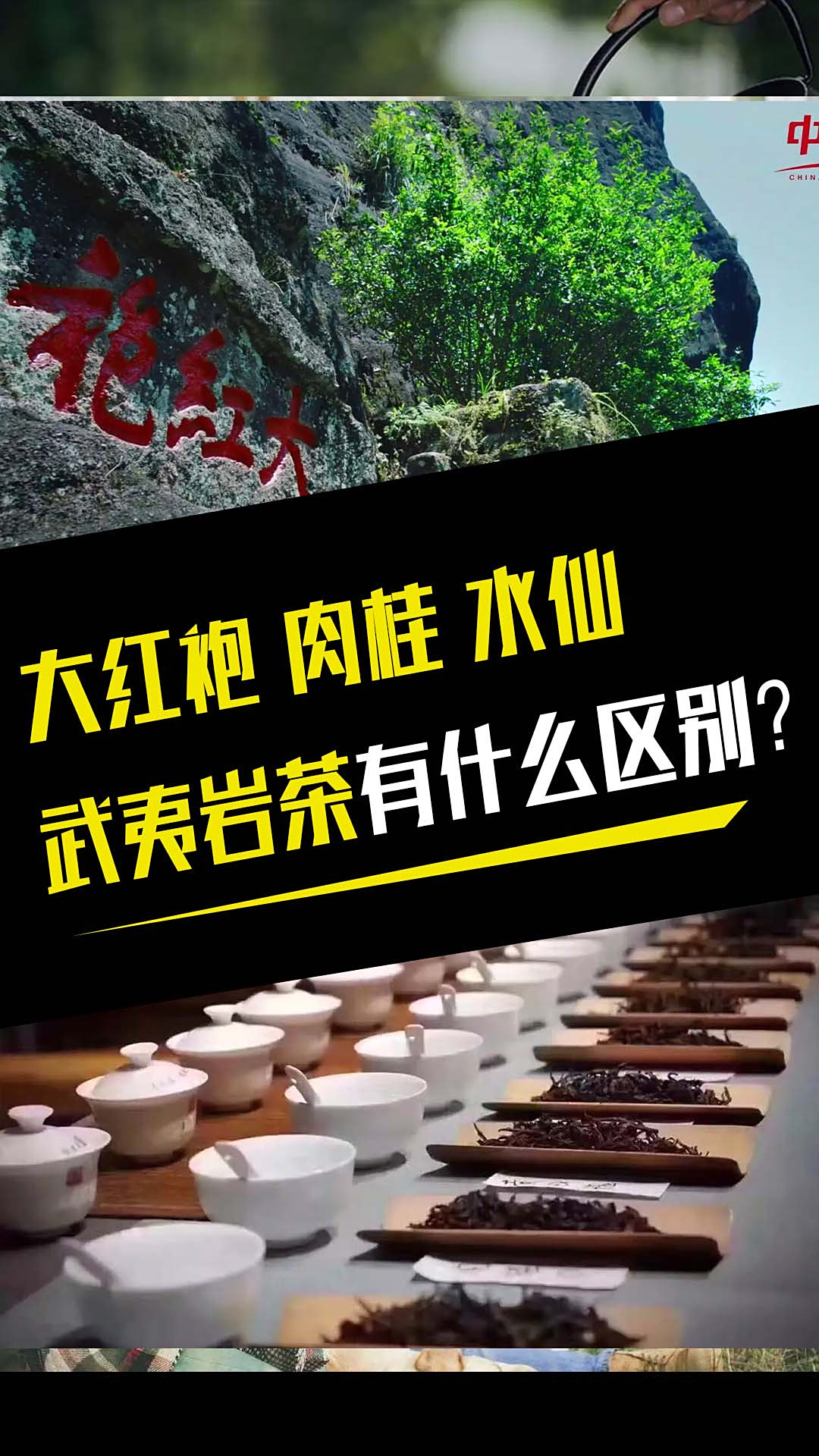 大红袍 肉桂 水仙 武夷岩茶有什么区别?