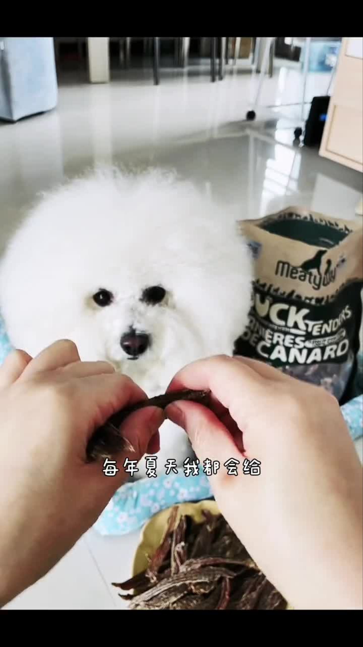 我给辣条妞安排了一大包鸭肉干,看它吃的嘎嘣脆