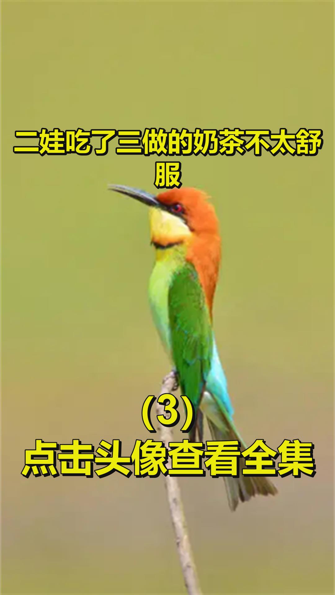 二娃吃了三做的奶茶不太舒服3
