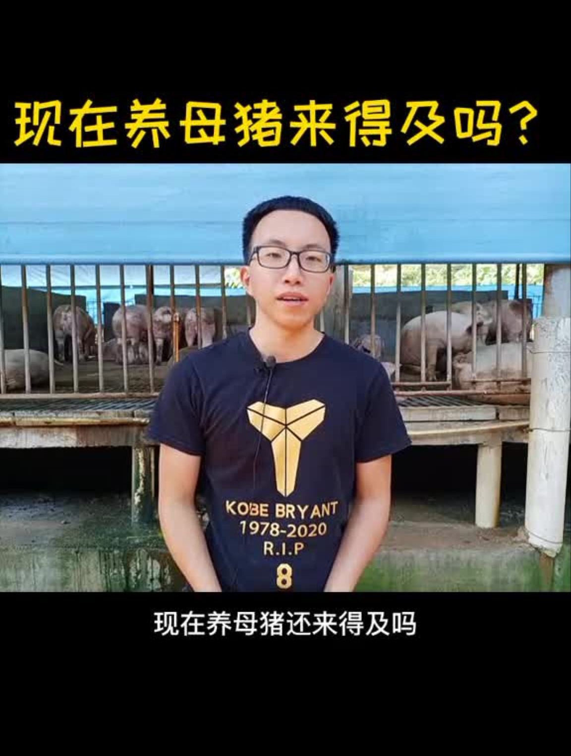 现在养母猪来得及吗请先回答这3个问题10-3晚8点阿土哥直播首秀