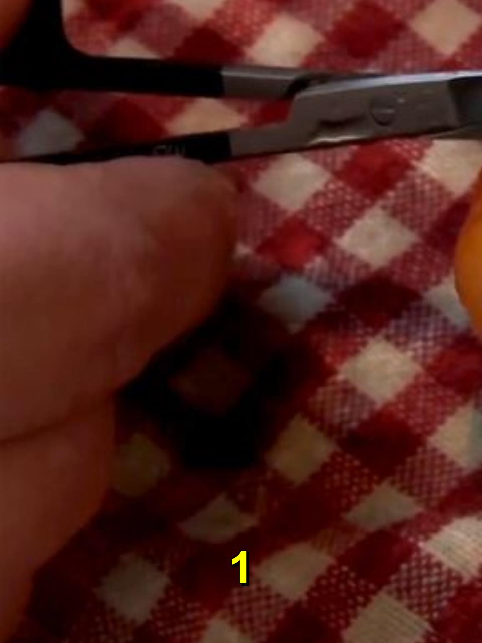 宠物鱼长了肉瘤,眼睛几乎看不见,主人亲自操刀动手术!1