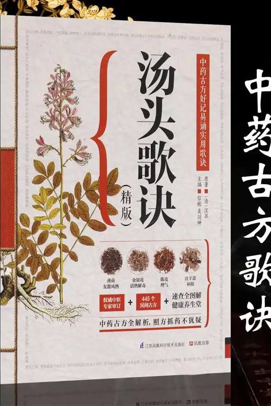 耳耳相传的汤头歌诀,名方、验方一看就懂,适合家庭阅读使用