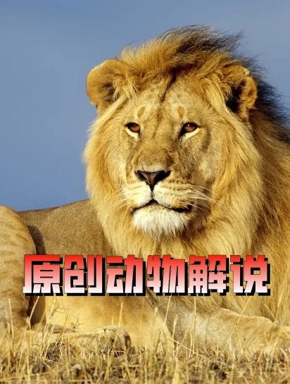鲨鱼为了繁殖,竟然暴力胁迫雌性,还进化出两根生殖器?4