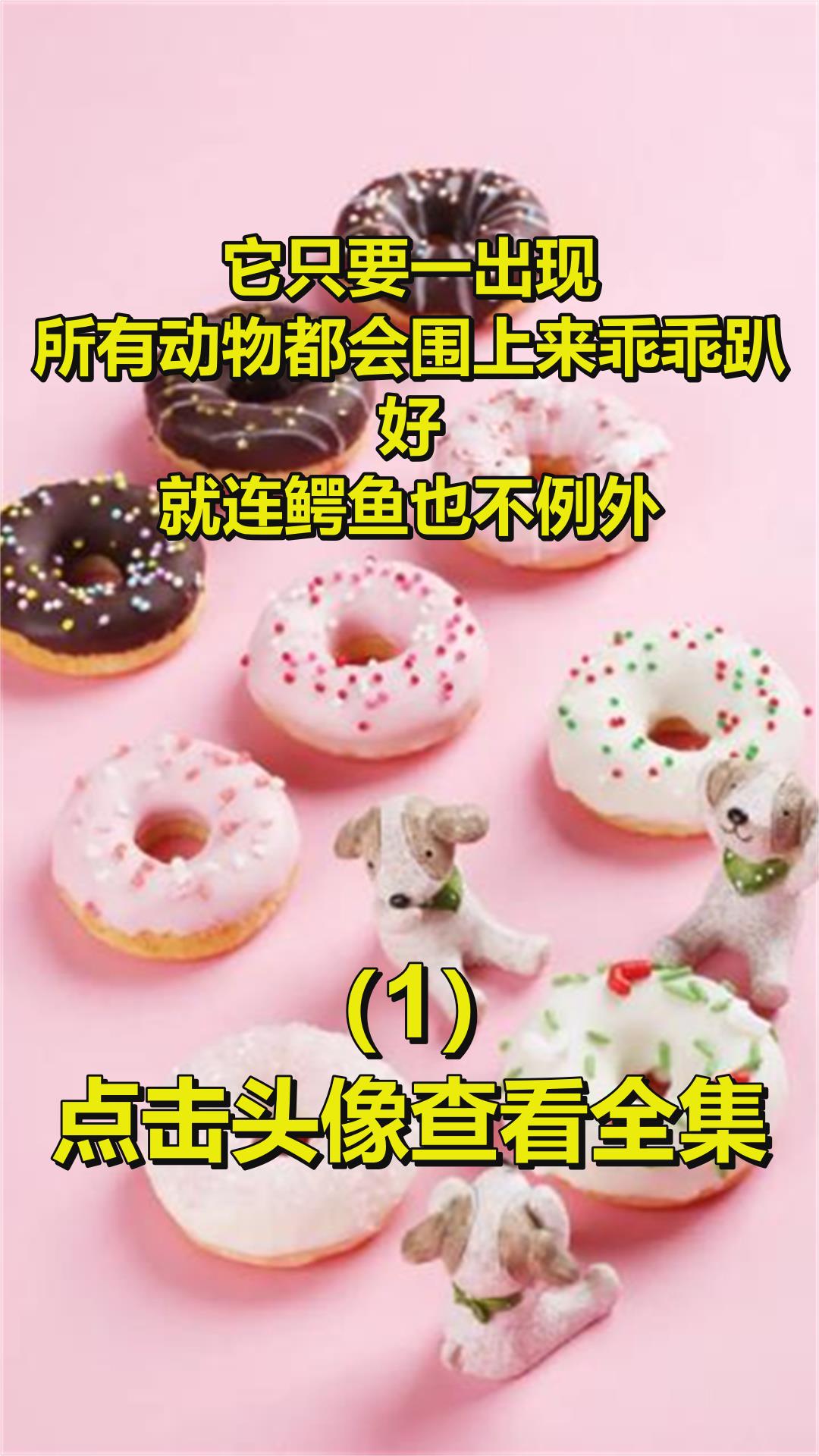 它只要一出现,所有动物都会围上来乖乖趴好,就连鳄鱼也不例外1