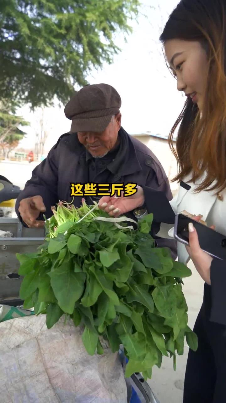 一块钱的菠菜,两块钱的油菜,一车菜才卖十几二十块