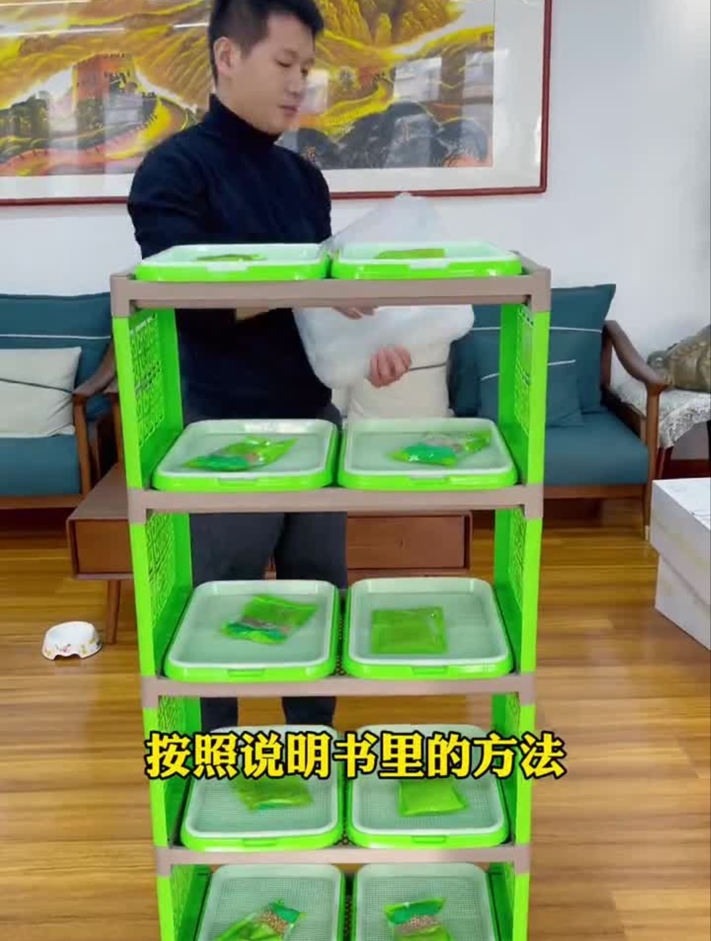 用最简单的方法去种菜阳台种菜新农人计划2021芽苗菜