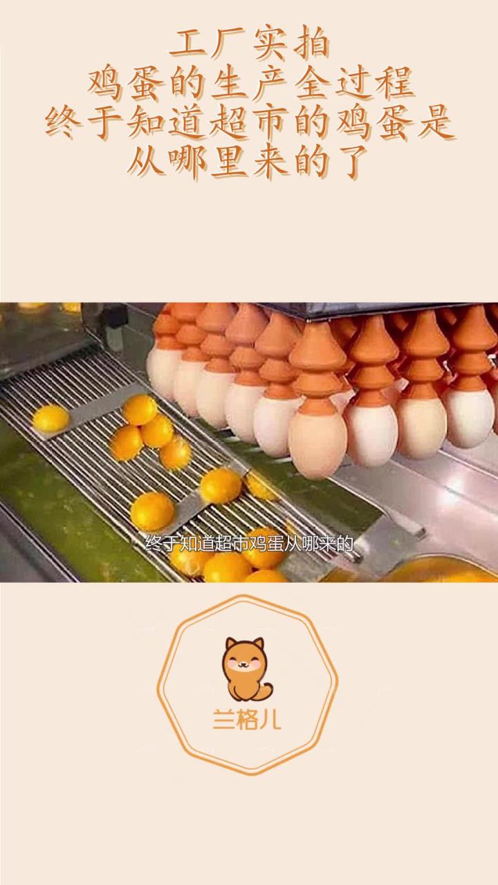 工厂实拍:鸡蛋的生产全过程,终于知道超市的鸡蛋是从哪里来的了