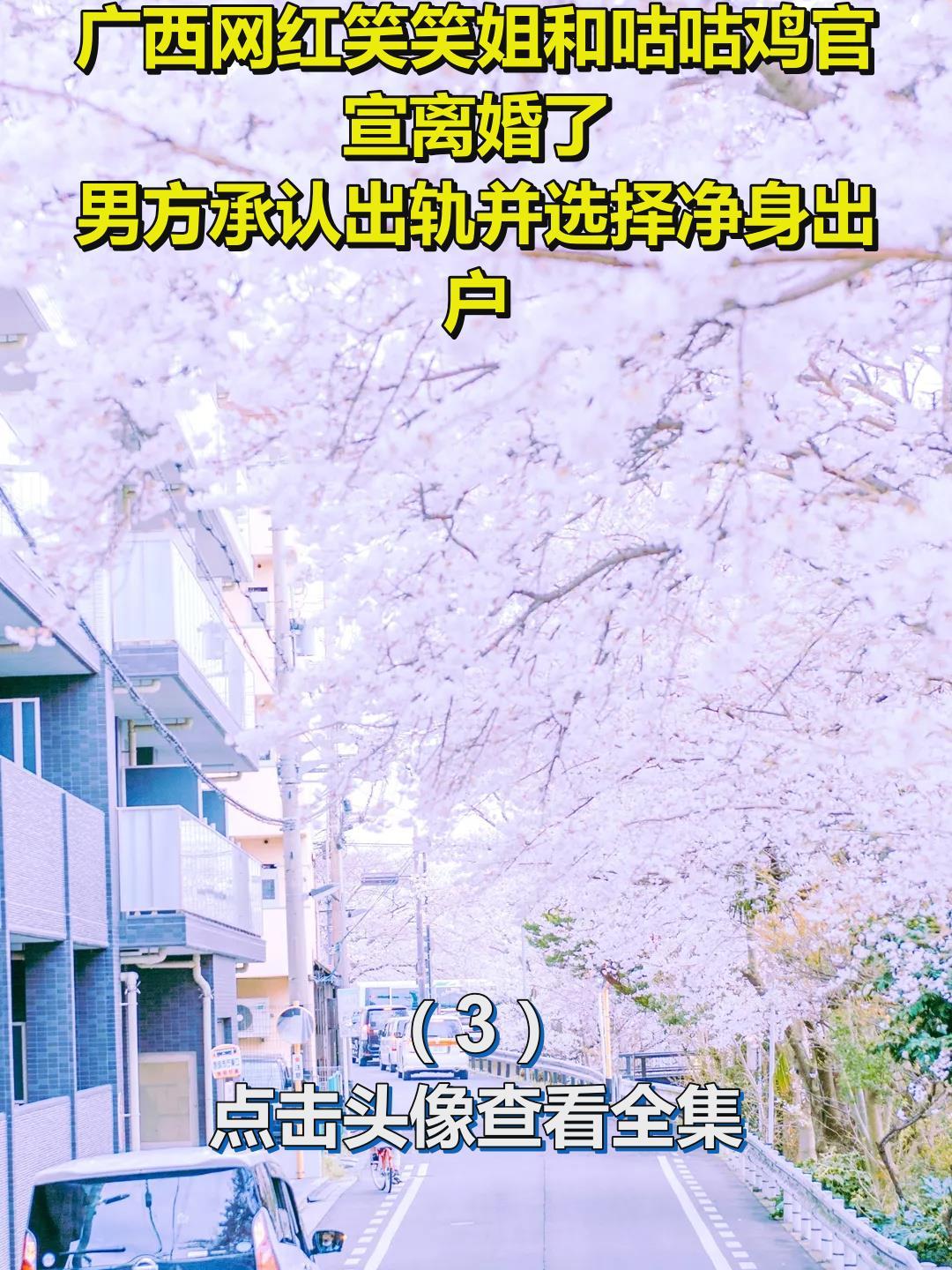 广西网红笑笑姐和咕咕鸡官宣离婚了