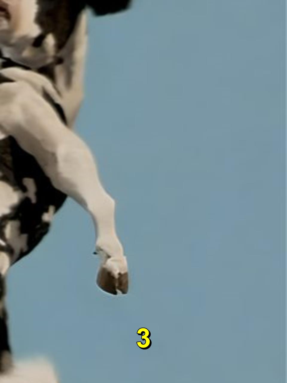 火了20年的奶牛打人表情包终于找到了,看一次笑一次!经典好片3