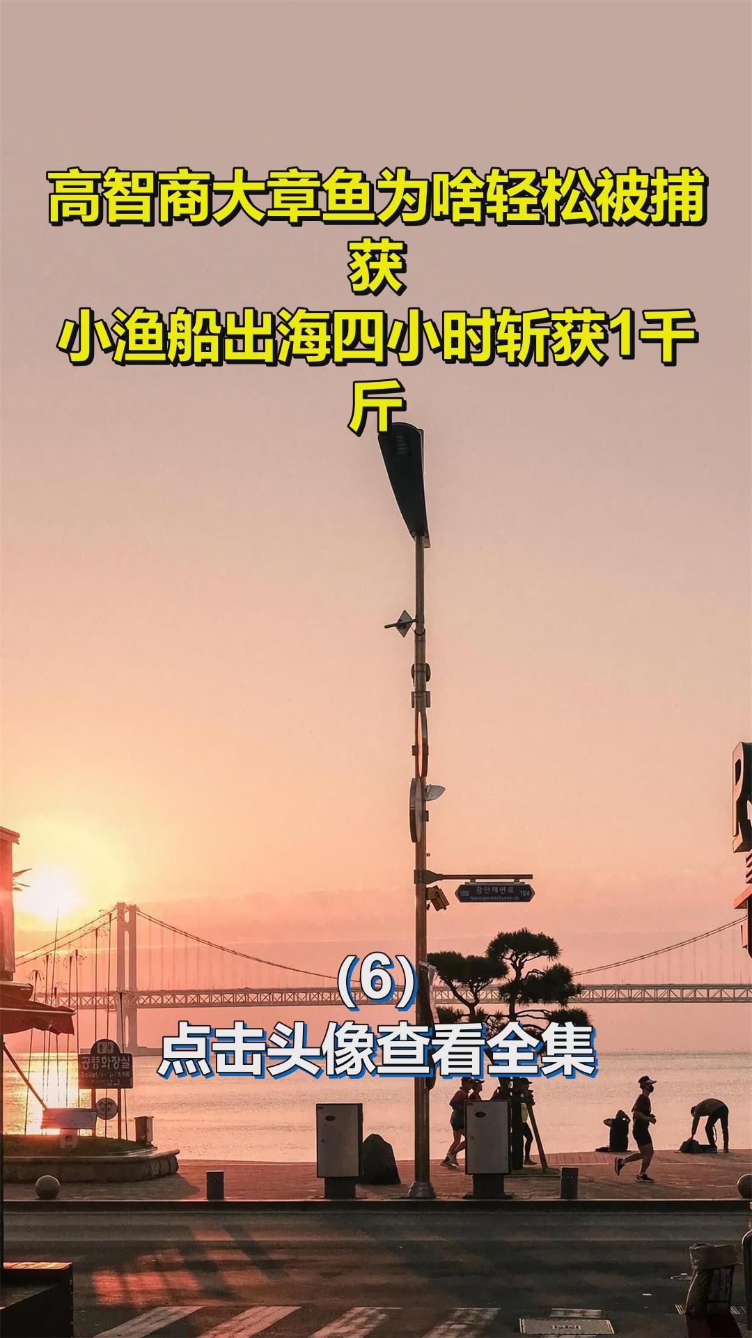 高智商大章鱼为啥轻松被捕获?小渔船出海四小时斩获1千斤6