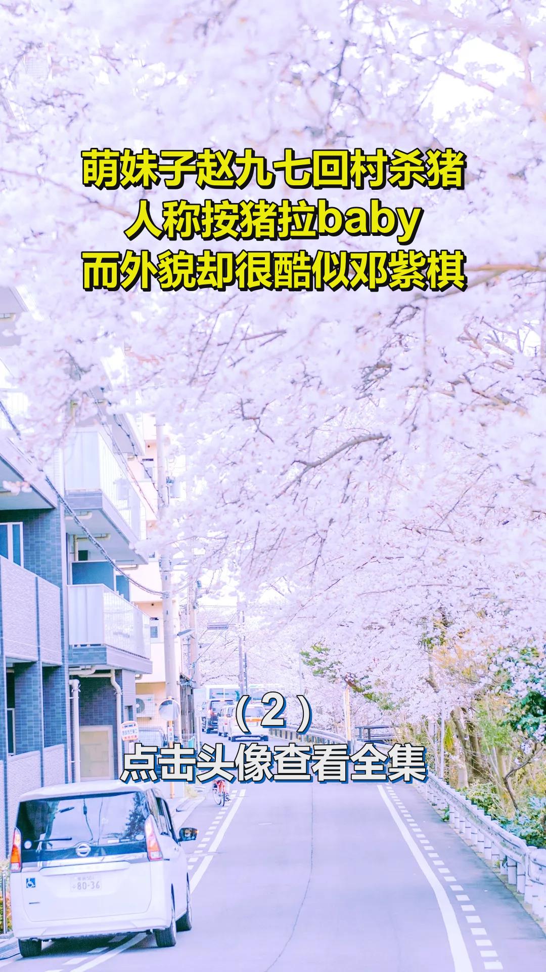 萌妹子赵九七回村杀猪,人称按猪拉baby,而外貌却很酷似邓紫棋