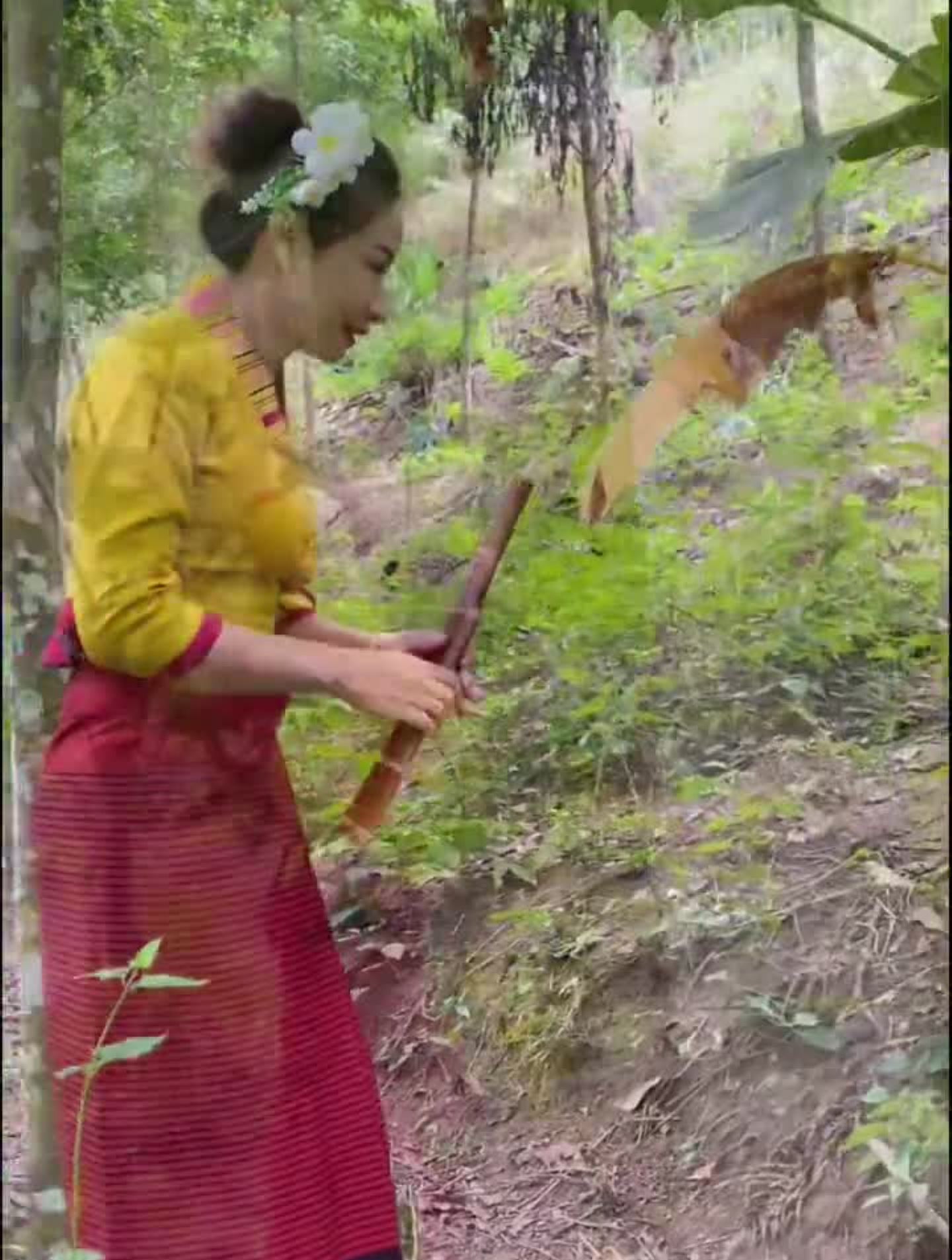 西双版纳 我是傣族 原生态原滋味难得吃的包烧小河鱼