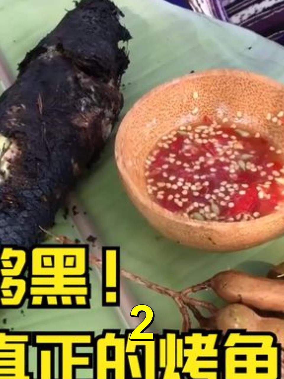 完整的黑鱼裹上稻草直接点火烤熟,搭配皂角一起食用馋哭我了!2