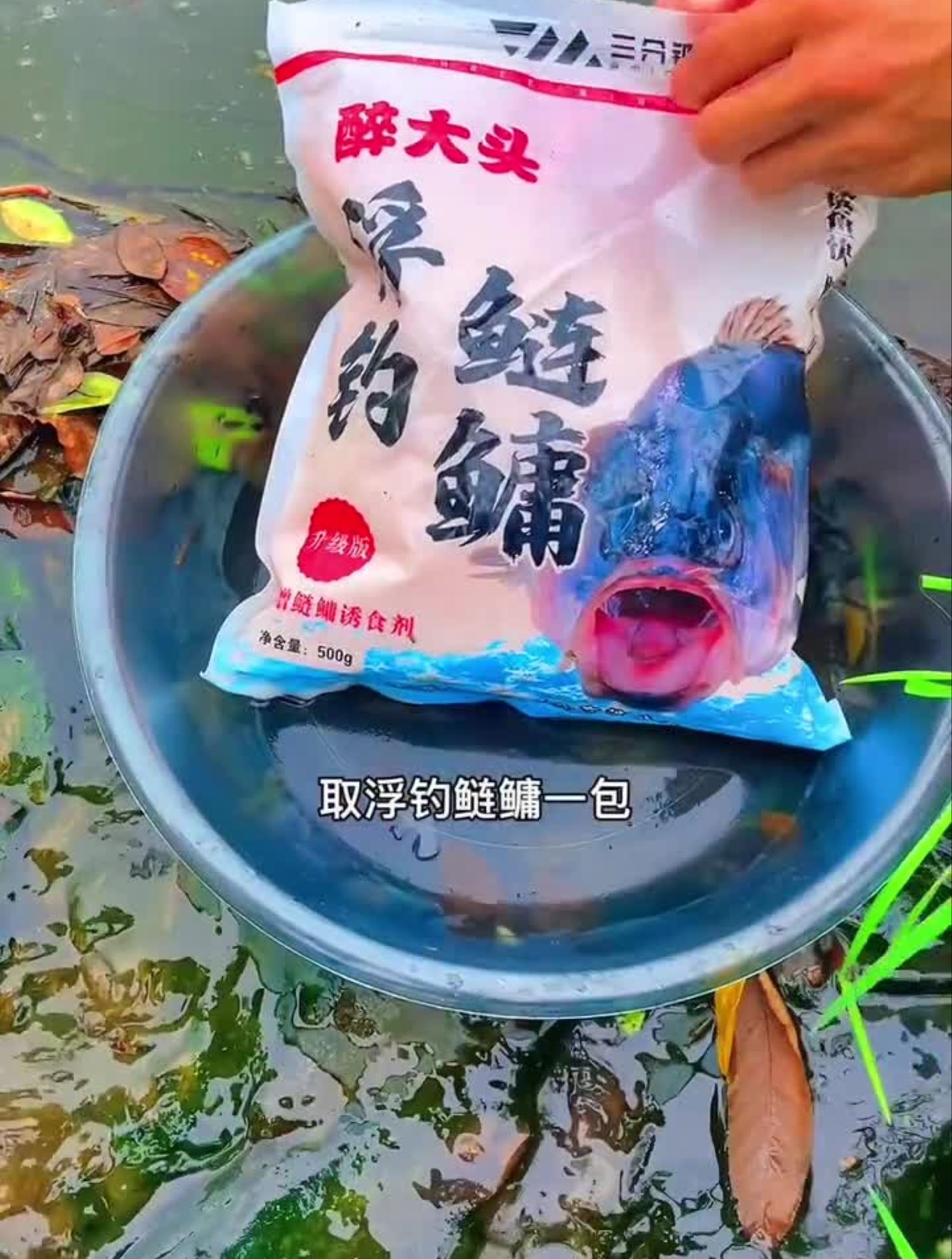 手竿浮钓鲢鳙的秘诀钓鱼技巧钓鱼教学钓鱼教程