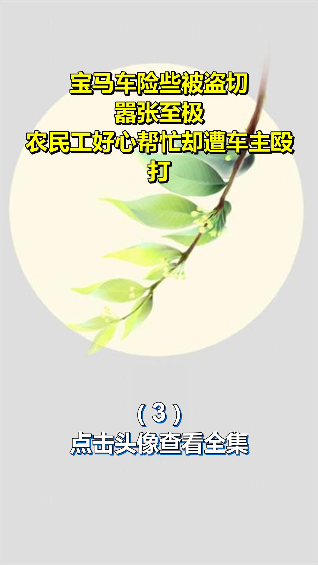 宝马车险些被盗切,嚣张至极!农民工好心帮忙却遭车主殴打3