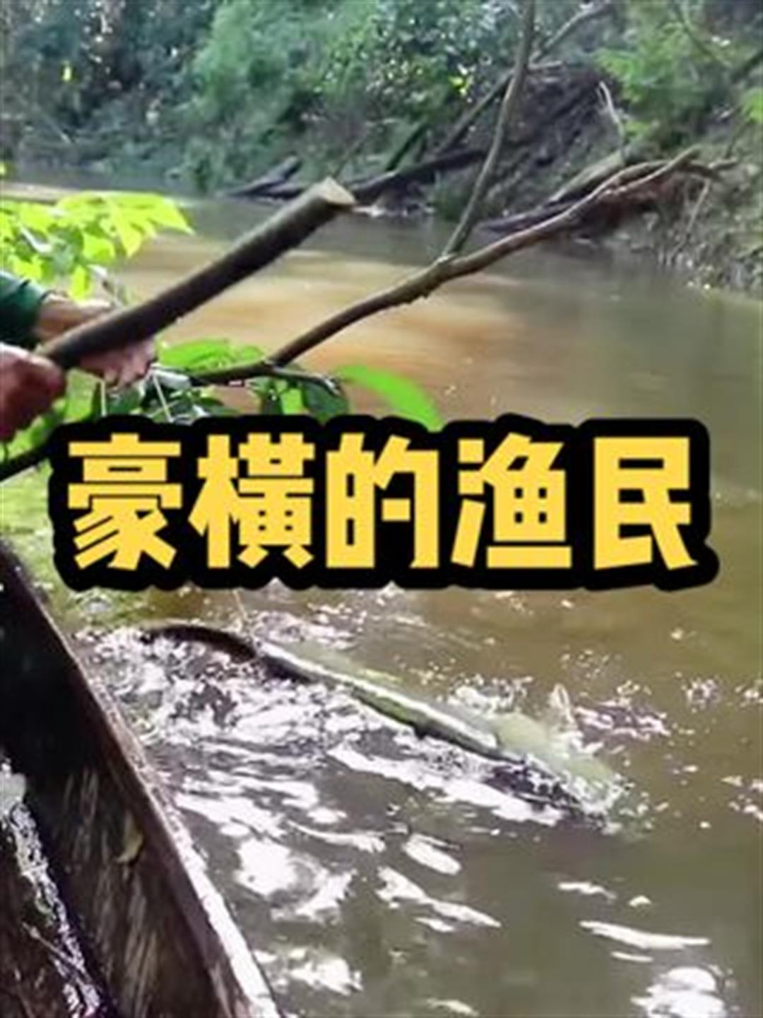 亚马逊当地渔民太豪横了,上千元一条的银龙鱼只当作下饭菜4