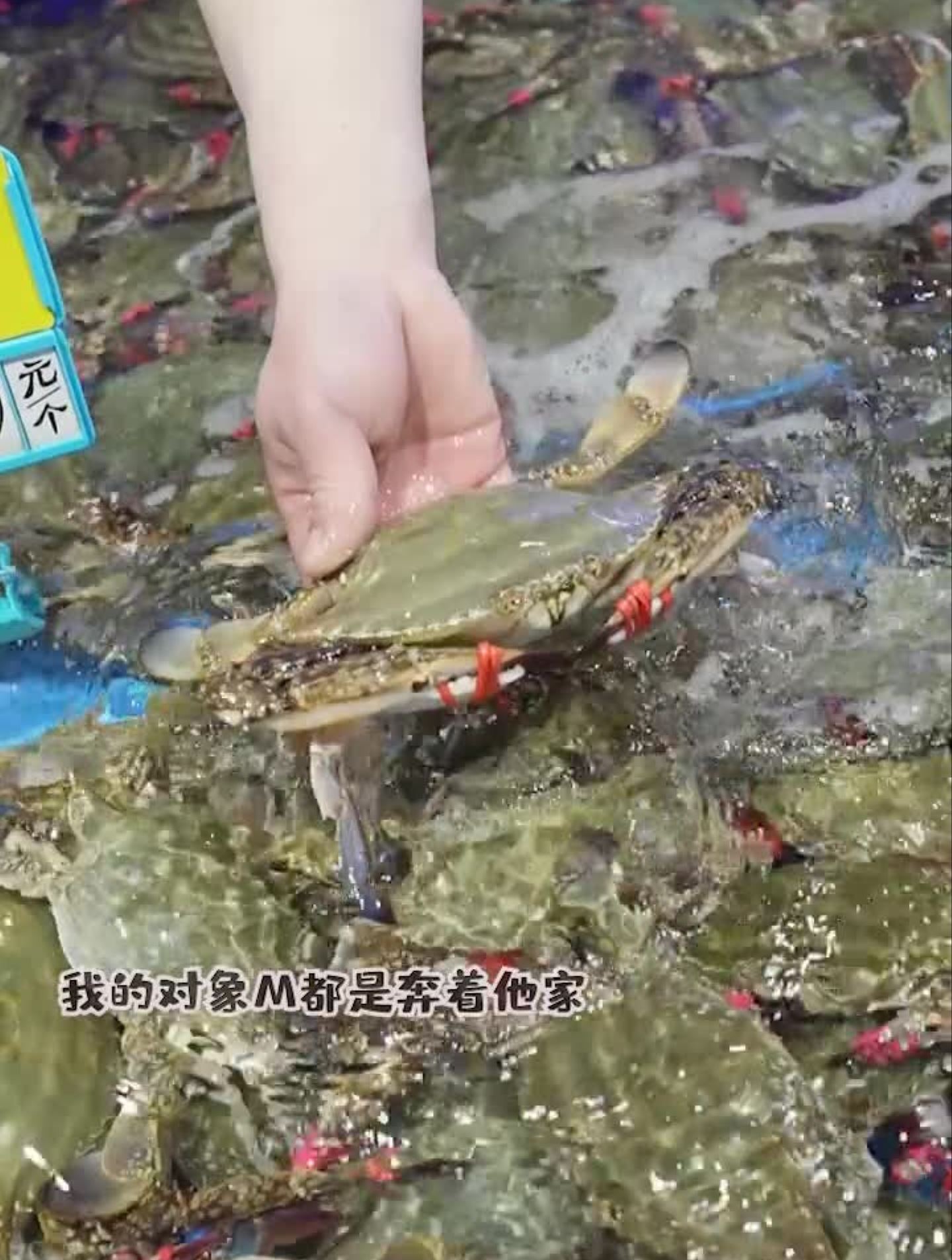 号称大连第二大美食奇迹打卡冬日排队王大连正黄旗海鲜