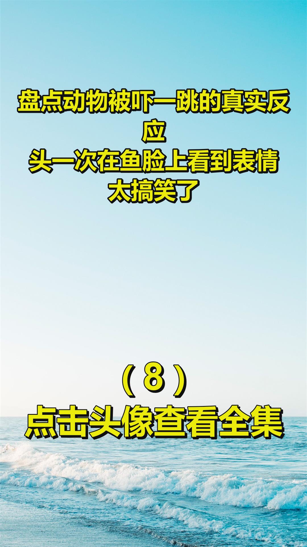 盘点动物被吓一跳的真实反应,头一次在鱼脸上看到表情