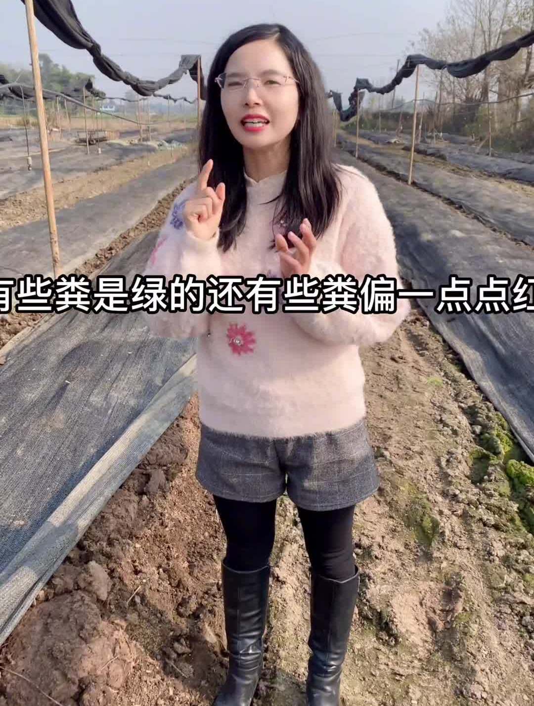 养蚯蚓什么颜色的粪好呢?