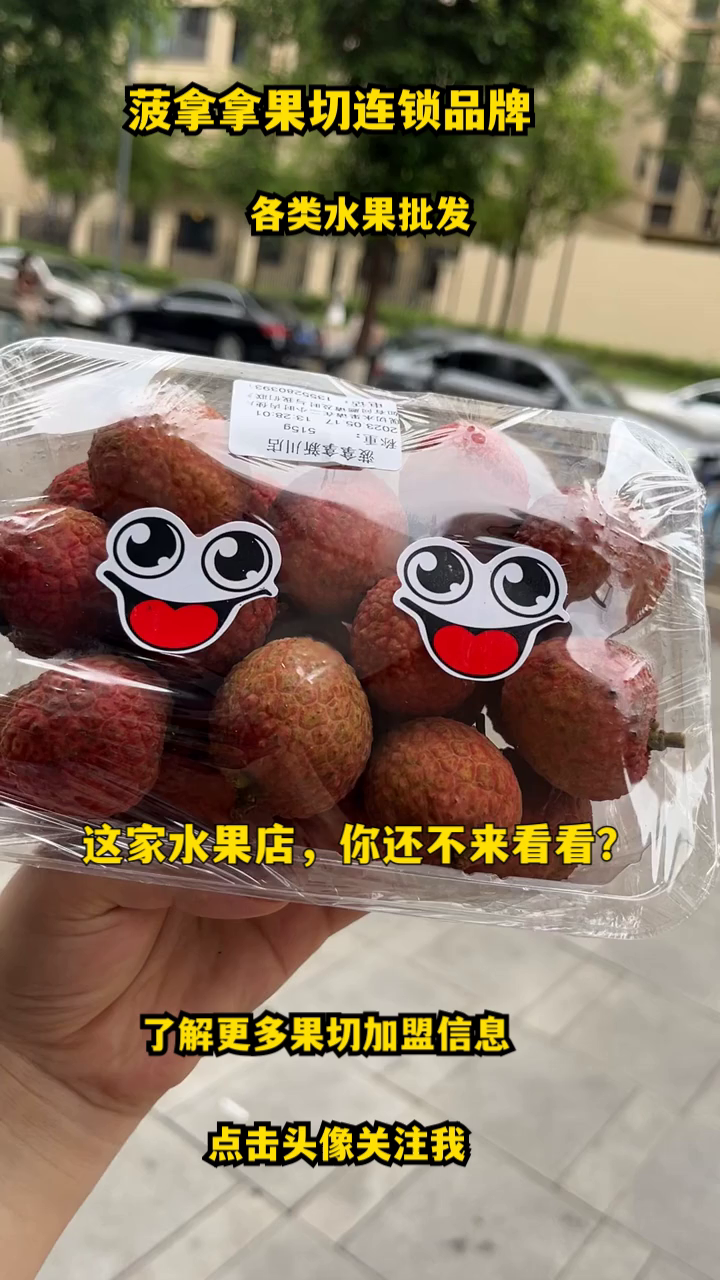 长沙酸奶水果捞加盟流程 酸奶水果捞加盟费用 西安水果捞加盟服