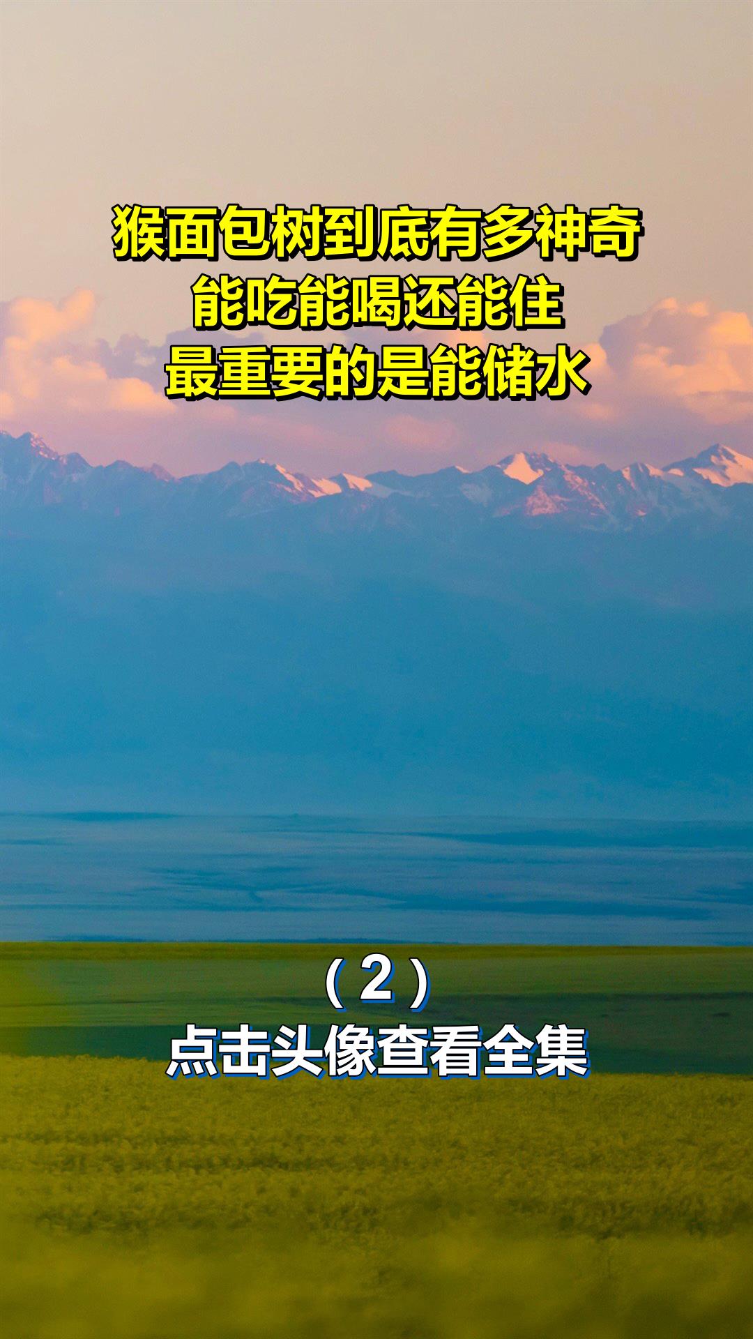 猴面包树到底有多神奇,能吃能喝还能住,最重要的是能储水!2