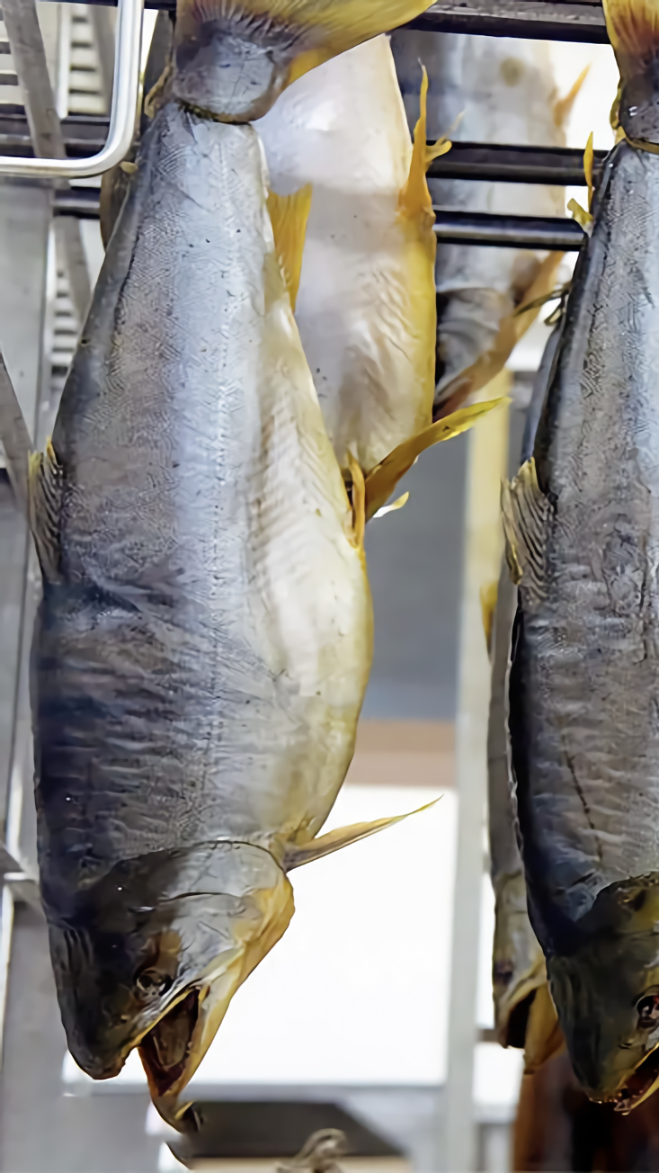 鲱鱼罐头为什么这么臭,工人却不戴口罩,原来臭味是这样产生的