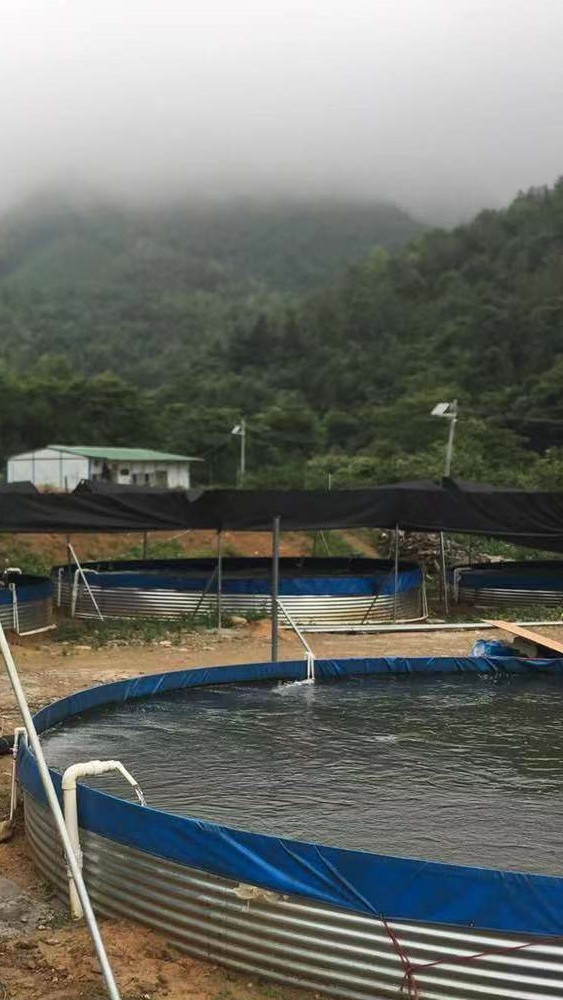 帆布养鱼池安装现场视频