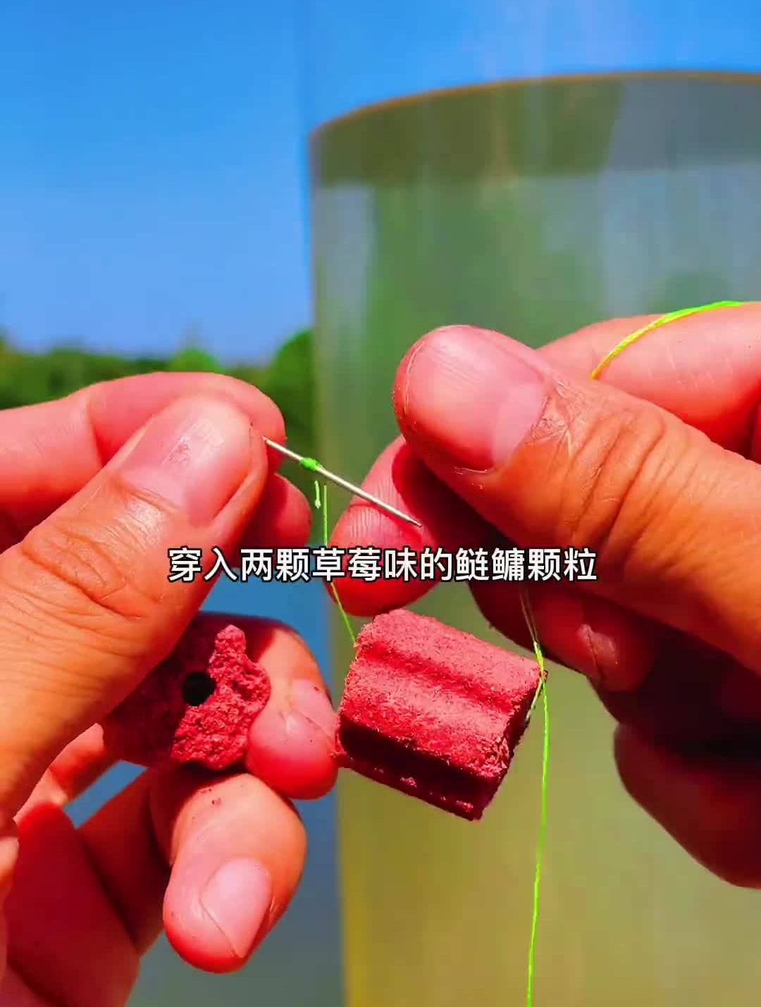 手竿鲢鳙颗粒钓法钓鱼知识钓鱼教学钓鱼教程