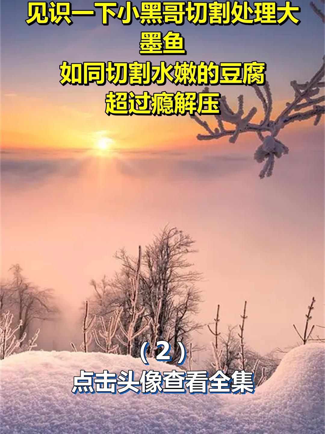 见识一下小黑哥切割处理大墨鱼,如同切割水嫩的豆腐,超过瘾解压