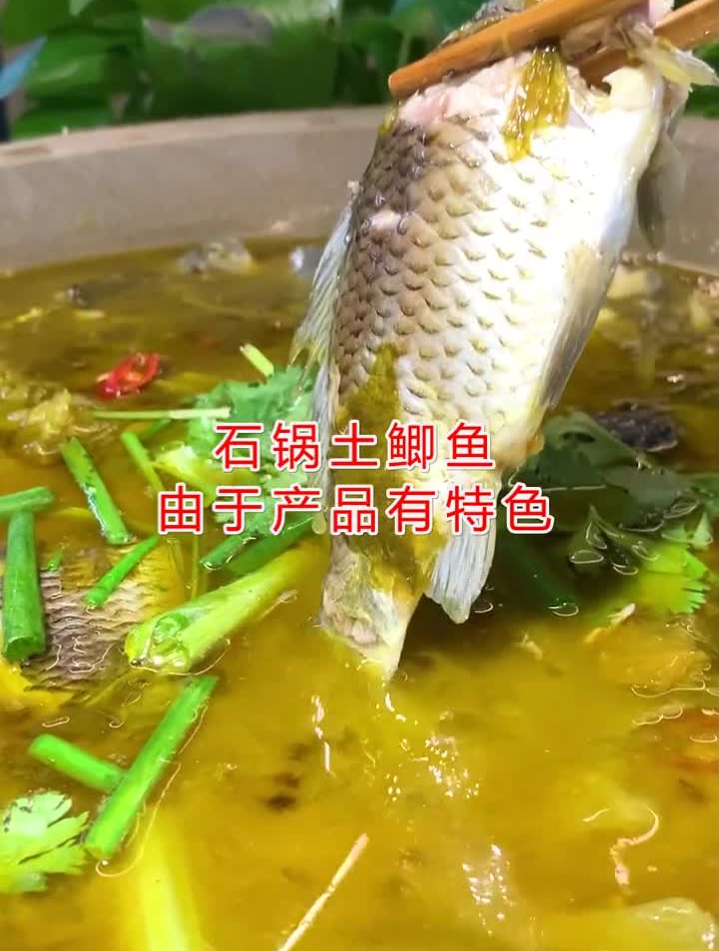 想学石锅土鲫鱼技术开店赚的,留言告诉我,我教你!