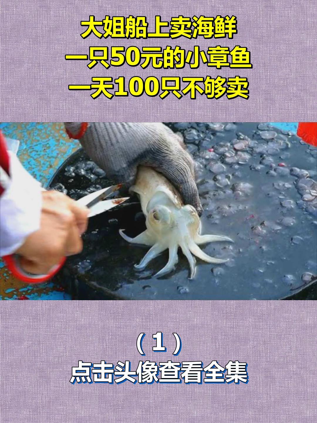大姐船上卖海鲜,一只50元的小章鱼,一天100只不够卖1